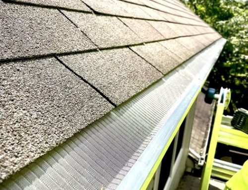 Why Should You Install Gutter Guard?